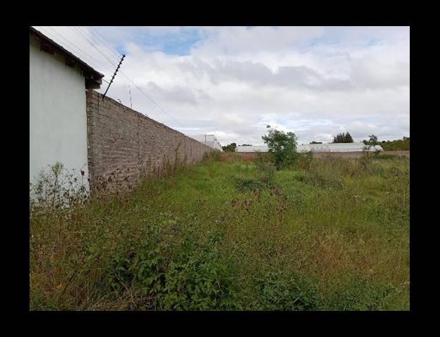 LAND FOR SALE IN GLEN AUSTIN